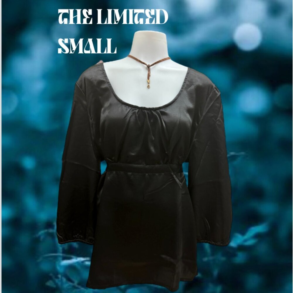The Limited SILK Blouse Size S NwoT